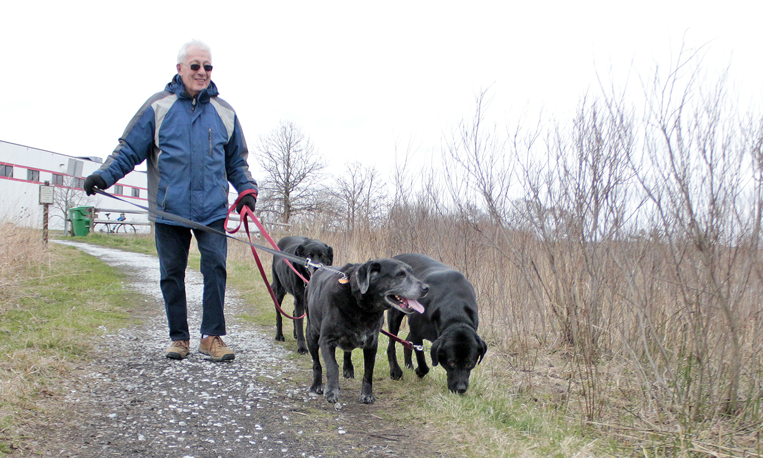 Homewood Mayor Richard Hofeld and crew take a walk in Izaak Walton Nature Preserve in early April. The Hofeld family recently increased with the addition of another black Labrador, Katie. (Eric Crump/H-F Chronicle)